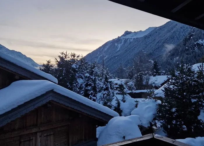 Ensoleille Aux Tines, Vue Massif * Chamonix